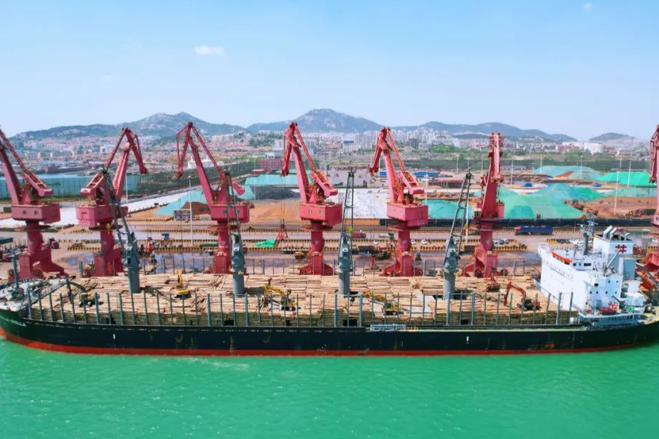 讓“過路木頭”實現“產業扎根”！日照向“全球木材交易中心”目標邁進！